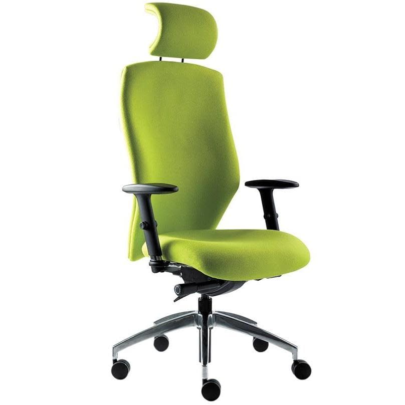 Albaugh ergonomic deals task chair