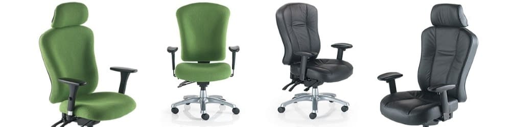 Executive Office Chairs Category Banner