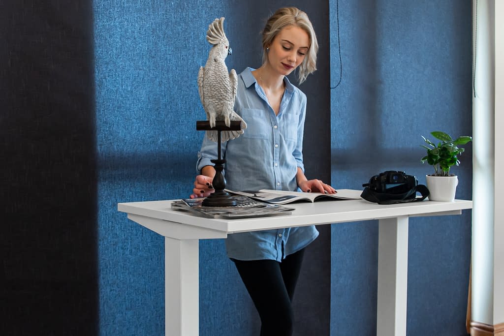 Mini 2020 10 - height adjustable desk - compact 1000 x 600