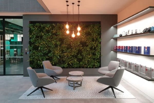 Biophilic green wall in reception area