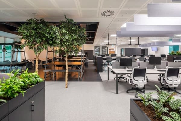 Plants in an open plan office