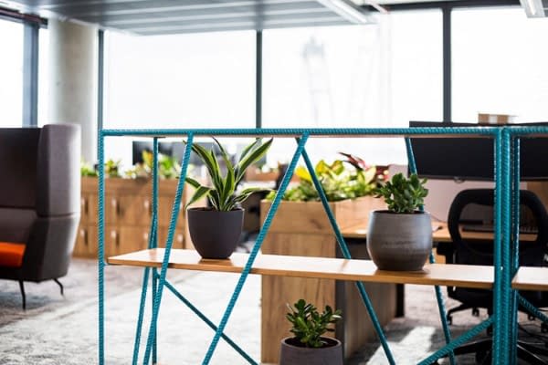 office storage with plants design